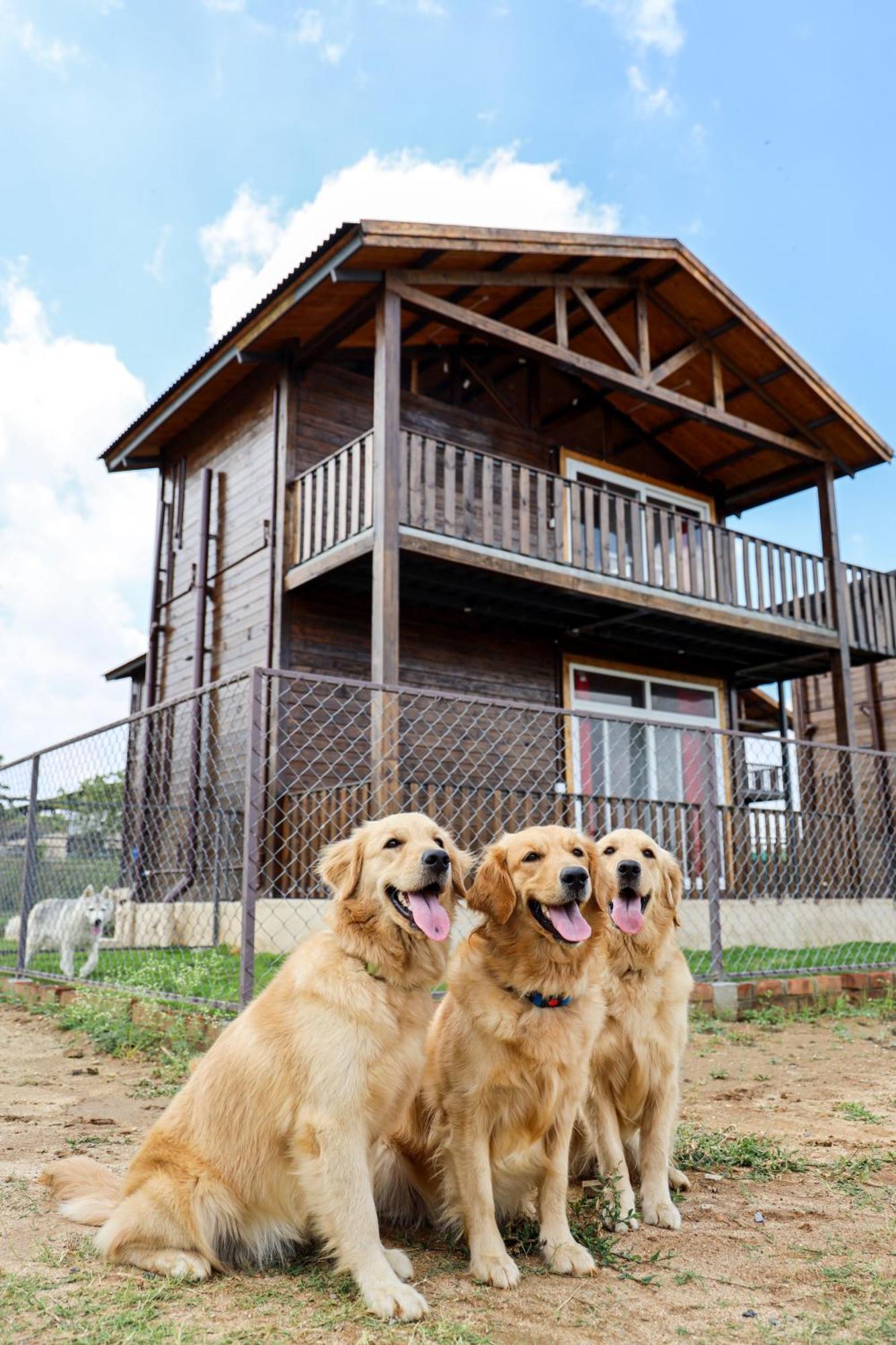 Therpup Resort Kammasandra Экстерьер фото